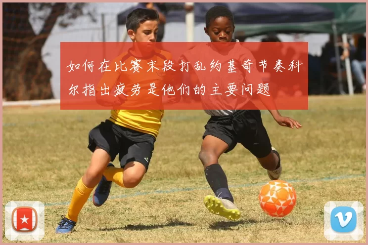 如何在比赛末段打乱约基奇节奏科尔指出疲劳是他们的主要问题